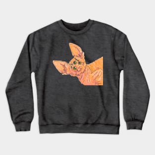 Spider Cat Crewneck Sweatshirt